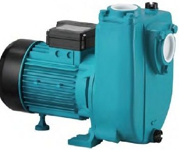 MOMENTUM PHS2000 -2HP-380V- KLAPELİ SANTRİFÜJ POMPA