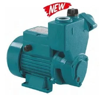 Momentum PKSm37 0.50Hp 220V Kendinden Emişli Sürtme Fanlı Pompa