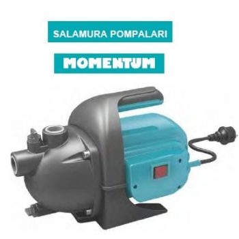 Momentum PKJ-1104P 1Hp 220V Salamura Pompası